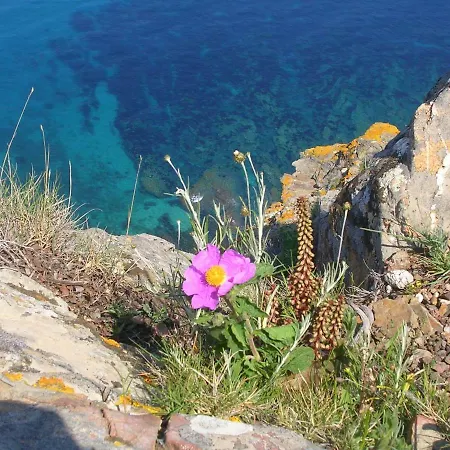 Alba Marina Di L'osari